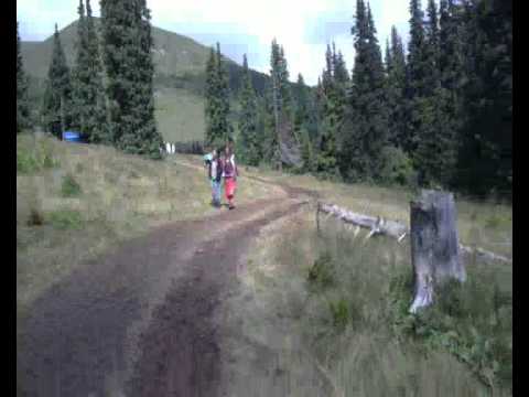 Transylvania Calling 2011 - From campsite to the mainfloor