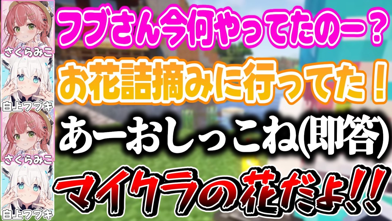 本当にお花を摘んでたのにみこちにトイレ中だと勘違いされるフブさん【さくらみこ/白上フブキ/ホロライブ切り抜き】