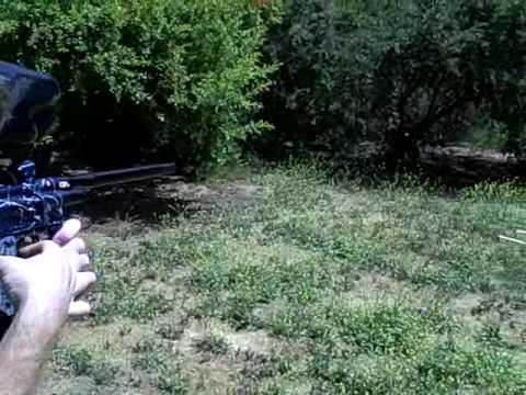 AKA Viking with Halo B