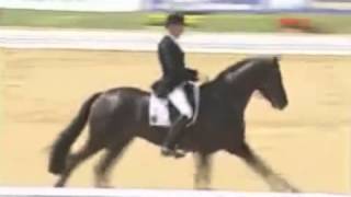 Video of Fürst Heinrich