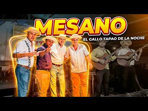 Torrente de Mesano: 🎤Cantadera en Honor a Montijo y Tito Rodríguez 🇵🇦