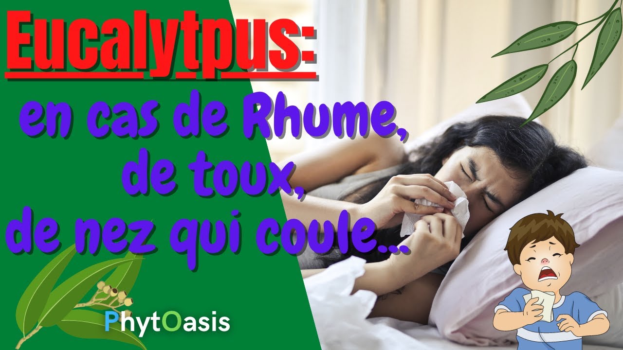 Rhume, toux, nez qui coule, Comment utiliser l'Huile Essentielle d'Eucalyptus globuleux