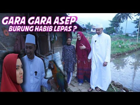ASAP TETANGGA BIKIN SESAK!!! KARTIKA PUTRI NGAMUK LEPASIN BURUNG HABIB!!!