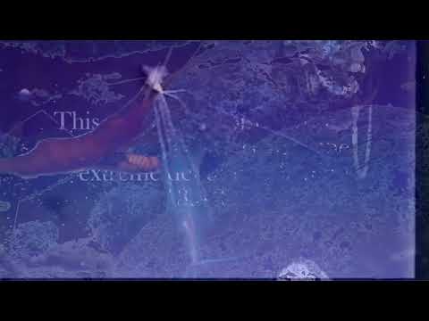 Mr. 808 - Decanangonsilfin