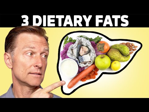 4 Critical Tips to Reverse a Fatty Liver – Dr Berg