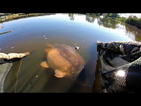 ''Karp kulka'' filmy 1080p HD