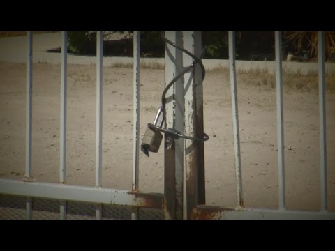 Dozens of dogs impounded from local trainer