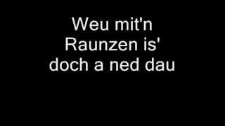 Georg Danzer - Loch amoi (Lyrics)