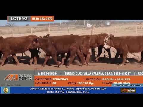 26-07-22 - Remate Televisado de Alfredo S. Mondino - Especial Expo.  Palermo 2022 - Capital Federal