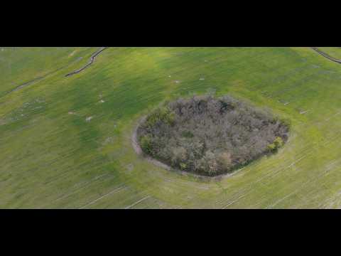 Colonia Avellaneda, Entre Ríos desde el aire | Paisajes de Entre Ríos en 4K con Dron