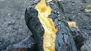 Download lagu PACOBANING URIP cipt:NDARU BENG mp3