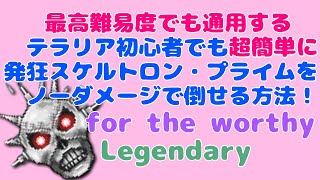 [テラリア]初心者でも超簡単に発狂スケルトロン・プライムをノーダメージで倒せる方法（最高難易度for the worthy & Legendaryでも通用します）[Terraria]