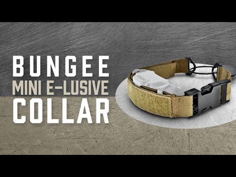 Bungee Mini E-Lusive™ Collar | Added Comfort for Covert E-Collar Training