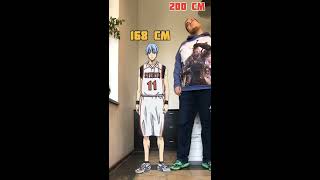 Kuroko basketball - HEIGHT comparison