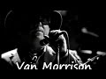 Van  Morrison - Playhouse (2006) One Night  In Nashville