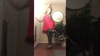 Let Go - Natasha Bedingfield - Dance Cover