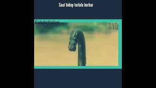 Download lagu Raden mas said (sunan kalijaga) - tembang lir ilir jawa mp3