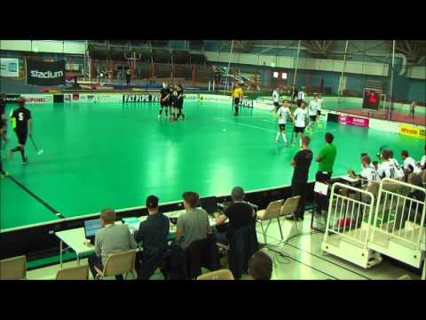 Vehve - Blackbirds maalikooste 26.3.2016