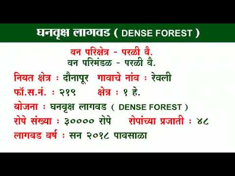 घनवन लागवड रेवली, वनविभाग बीड