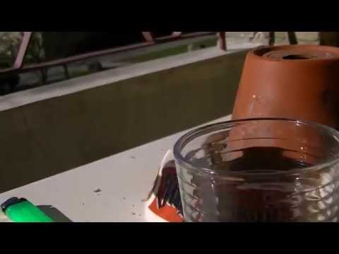 MongoTV_305 - Skål På Langfredag Og En Fortsat God Påske 2015