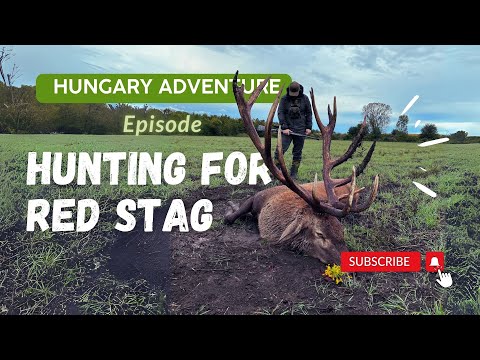 Hungary Adventure Episode Hunting for Red Stag