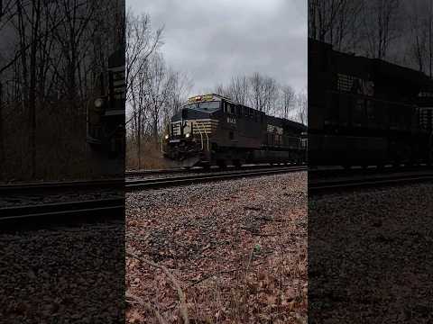 Norfolk Southern 8145 and 4382! #ns