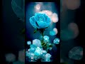 Tum Chupa Na Sakogi Mai O Pyar Ho Beautiful Nature Status Video 4k Status Naturelovers Shorts