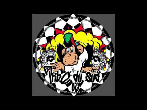 Tribe Du Sud 06 - Promomix