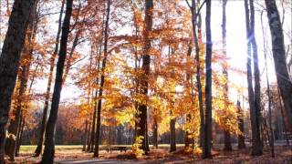 Beautiful Christian Wedding Songs