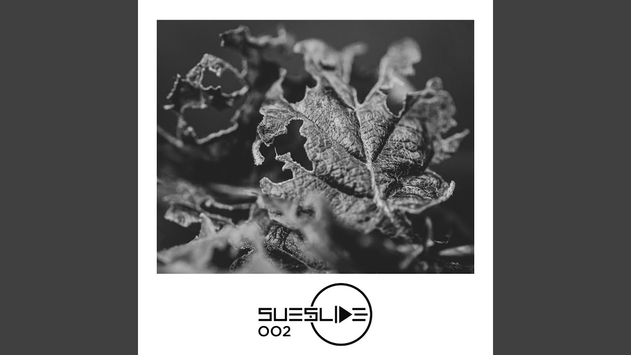 Frames (Stephan Zovsky & Dan Cero Remix)