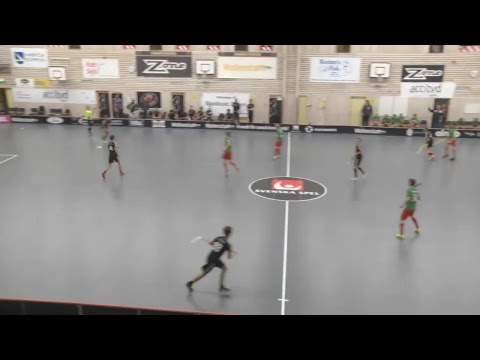 P02 Linköping Innebandy vit - Frölunda IBK