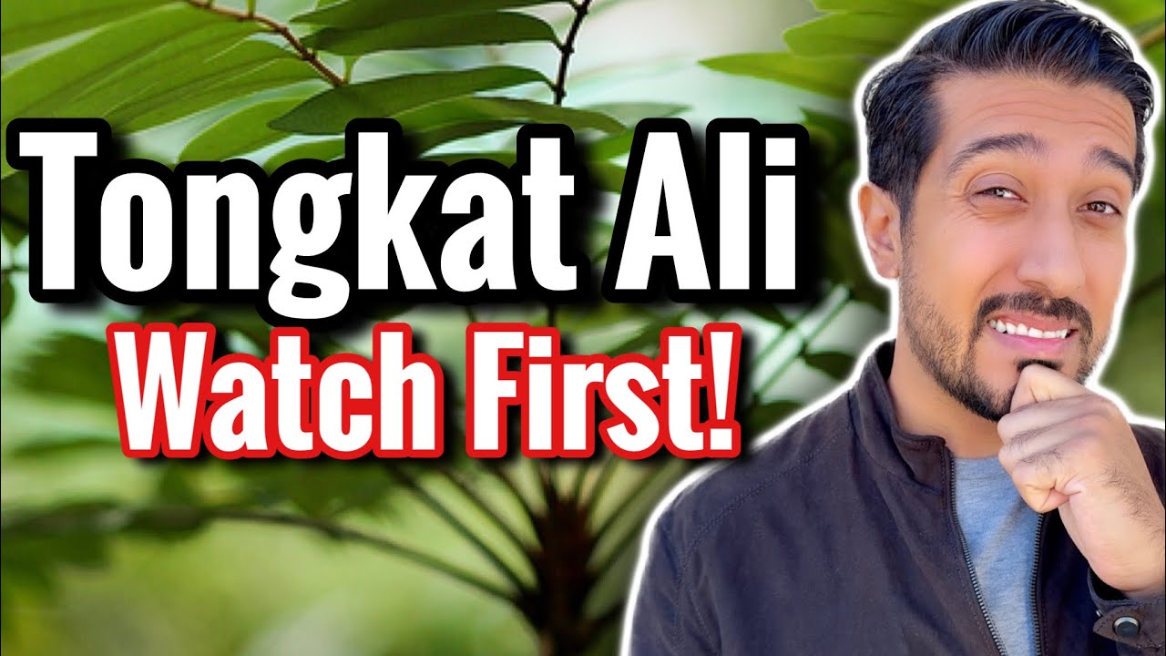 Is Tongkat Ali Worth it? | Watch First Before Trying Tongkat Ali