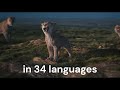 Mufasa The Lion King What Did You Say Bout My Brother 34 Languages OUTDATED