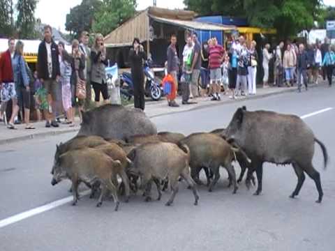 Rodzinka na spacerku