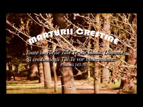 Madalin Potoroaca - partea 1