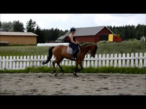 t. Bünteeichen Mona, s. 2007