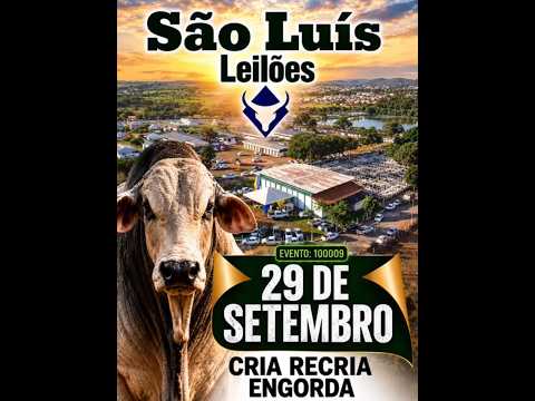 São Luís de Montes Belos - GO   29/09/2026