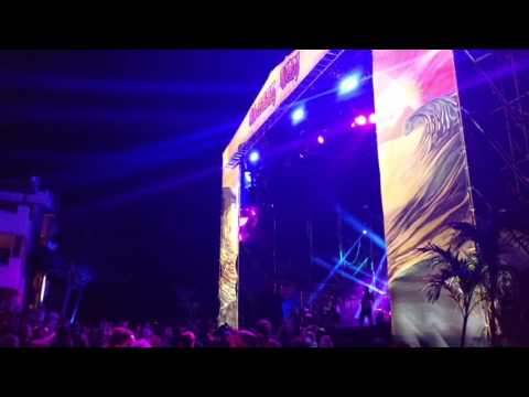 VID 20161217 TribalSeeds Moonlight