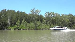 preview picture of video 'Đi canoe cao tốc đến đất mũi Cà Mau'