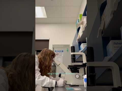 A day in the lab at the MacVicar lab #neuroscience