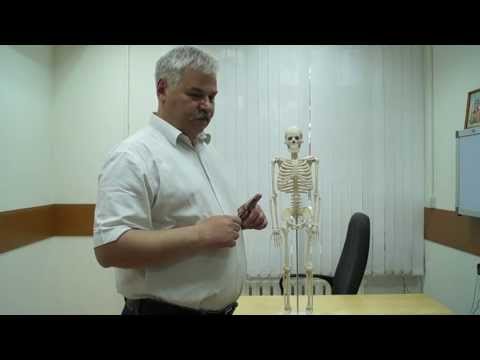 Ноет в области сердца Ноет в области сердца