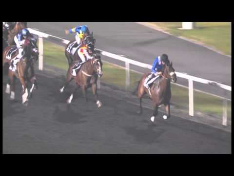 14.03.2013 Meydan (Dubai-UAE) 4.Race FRIDAY - 1.200 m