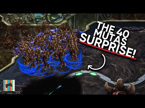 Will Cheese Fail - The BIG Surprise You Must See... - Starcraft 2 - LAGTV
