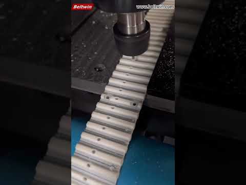 Timing Belts