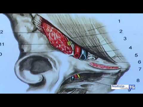 2019-04-01 PRATO - FABIO ARU OPERATO AL S.STEFANO, INTERVENTO RIUSCITO