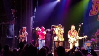 241 - Reel Big Fish live