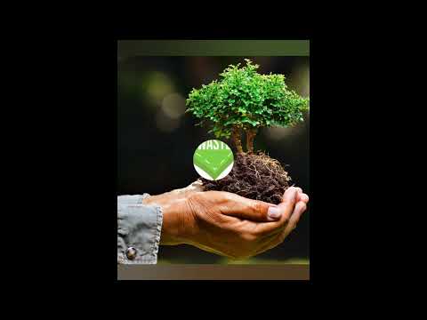 Easy Hacks to Improve Environment | World's Environment Day | DestinyCurves | Meet Deekshitha Sai