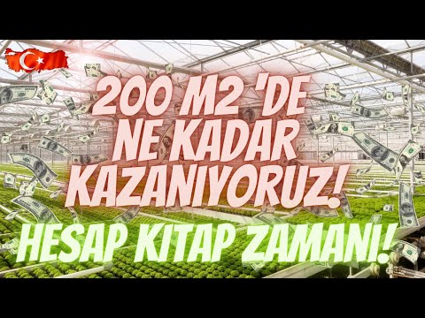 , title : '200 M²  Marul Serasında "Ne KADAR KAZANIYORUZ " ... Hesap kitap zamanı.....'