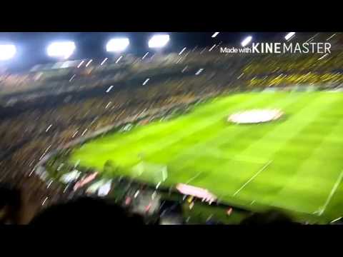 "Tigres vs America Final de ida recibimiento concachampions 2016" Barra: Libres y Lokos &bull; Club: Tigres