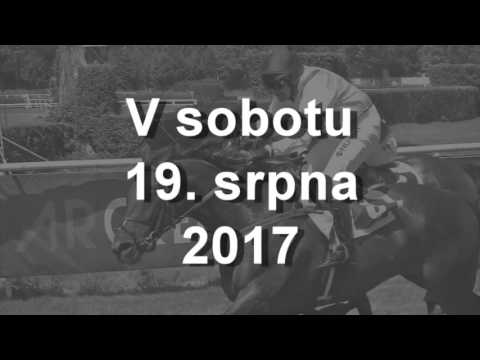 Pozvánka: 19. 8. - III. kvalifikace na 127. Velkou pardubickou s Českou pojišťovnou